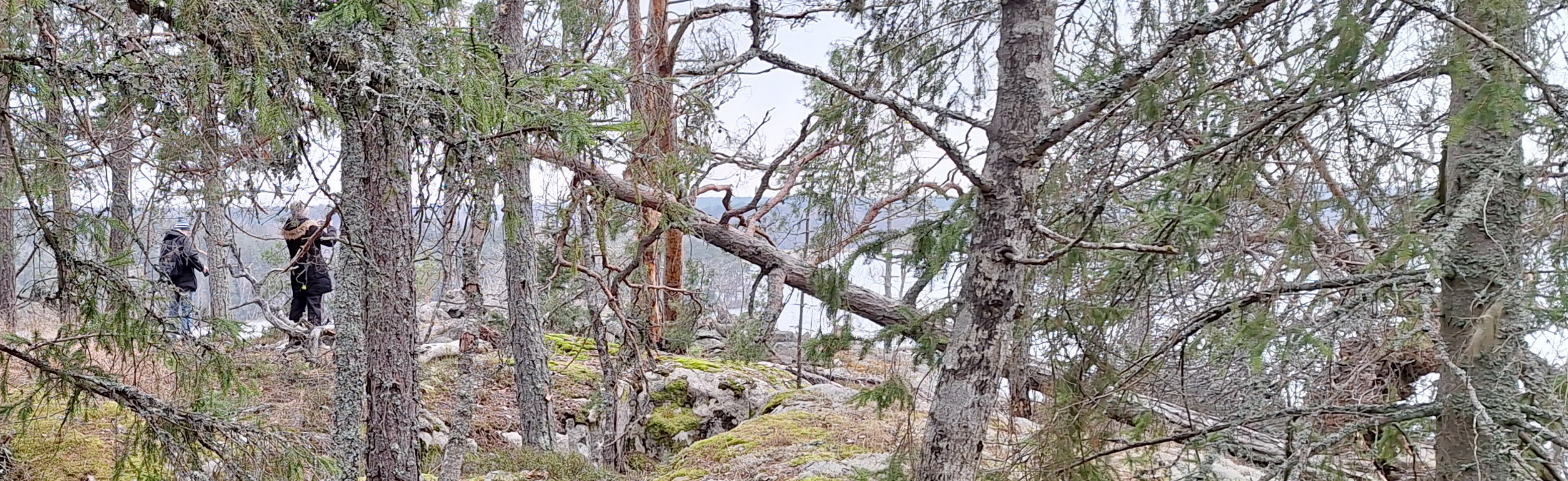 Utflykt på Måsnaren 9/2. Klicka på bild för info