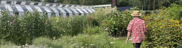 Skillebyholm och Yttereneby naturreservat 30/8