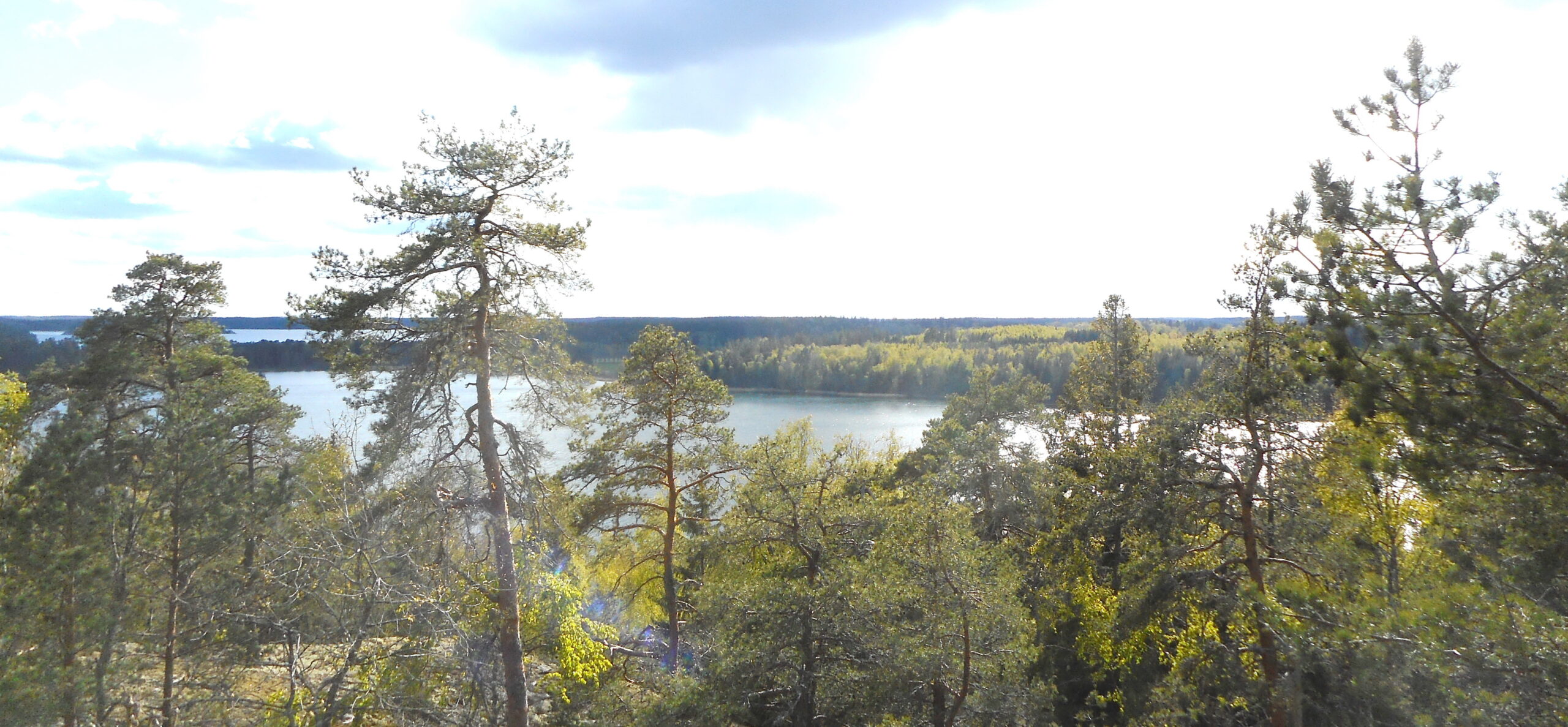 21/10 – Uttran: Från grumlig övergödd sjö till fin fiske- och badsjö. (Info: Klicka på bilden!)