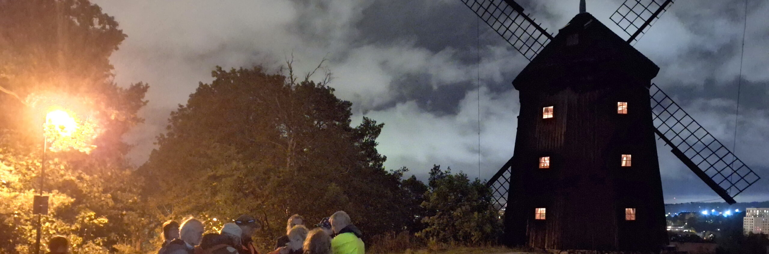 Fladdermusspaning på Torekällberget 4/5 kl 21