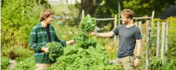 Självhushållning för hållbarhet. S-e stadsbibl, Café Blå, to 16/4 kl 12-13 (Info: Klicka på bilden)